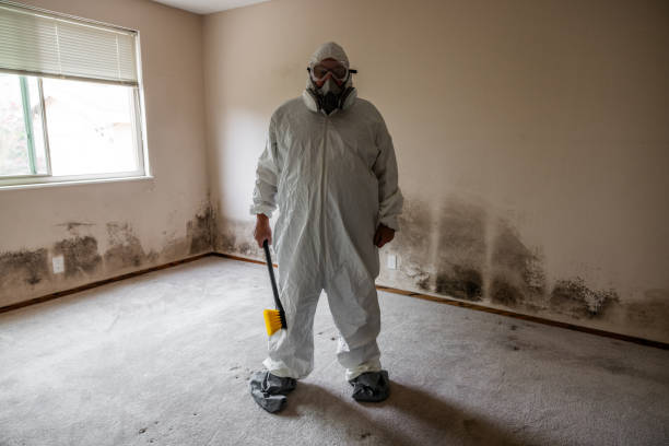 Best Home Mold Removal  in Knightdale, NC